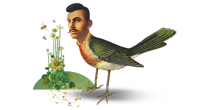 illustration of bird with human head
