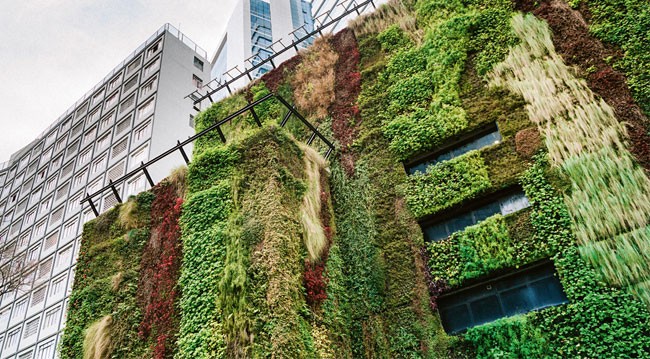 green buildings green buildings