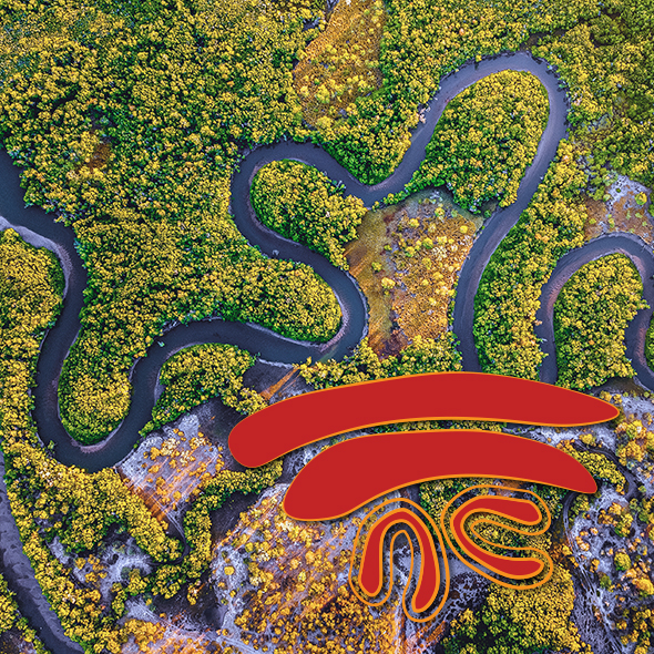 First Nations Director Scholarship Program 2025