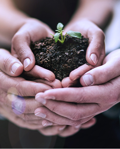 Opportunities in climate adaptation: How to future proof your organisation