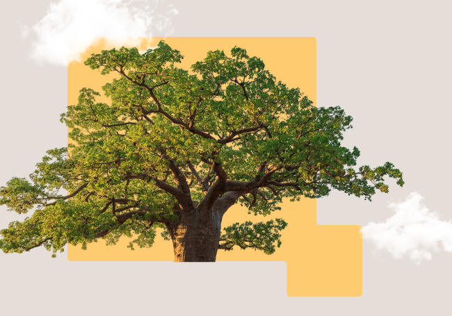 A tree placed over a yellow and pink background.