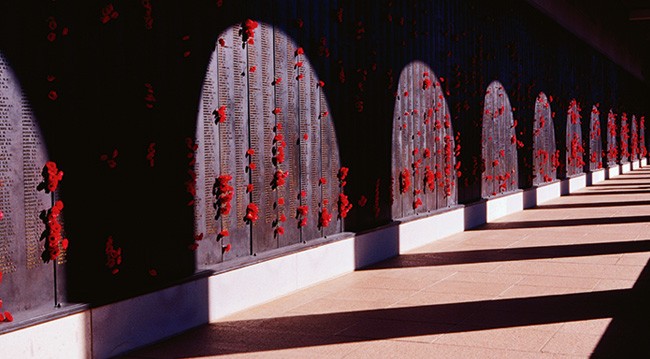 poppies war memorial