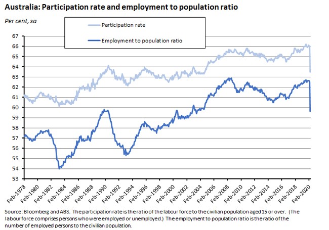 participants rate employment