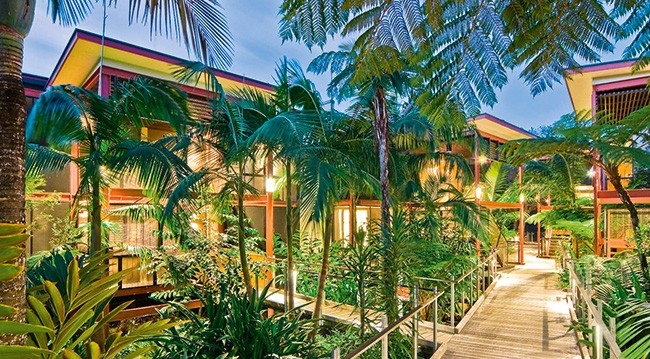 Byron rainforest retreat walkway Byron rainforest retreat walkway