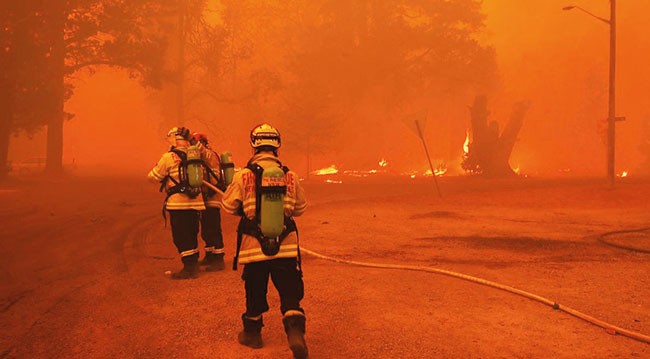 Firefighters in bushfires