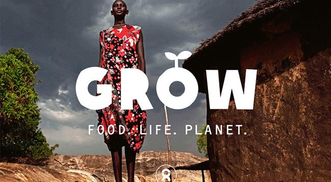 oxfam grow oxfam grow