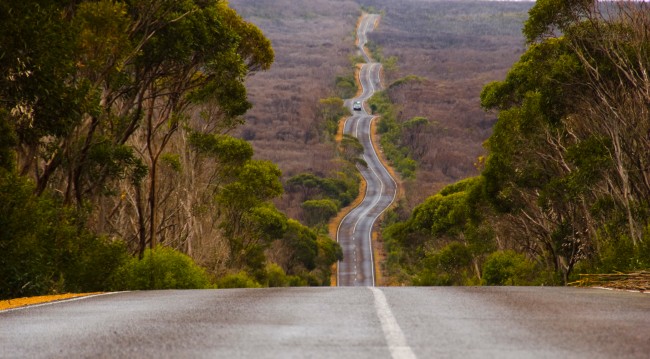 climate-governance-bumpy-transition