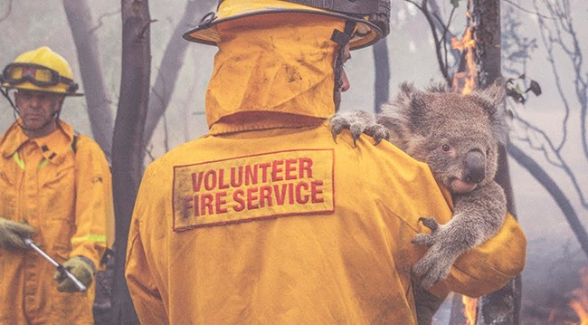 Australian bushfire volunteer rescue