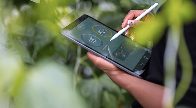 key-climate-reporting